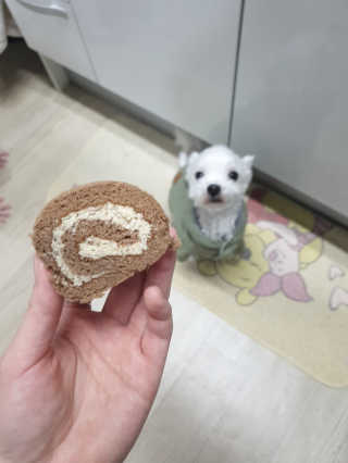 박미진님이 올린 리뷰 사진 4