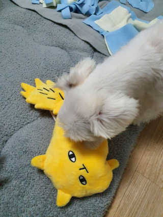 뽀오오옹님이 올린 리뷰 사진 2