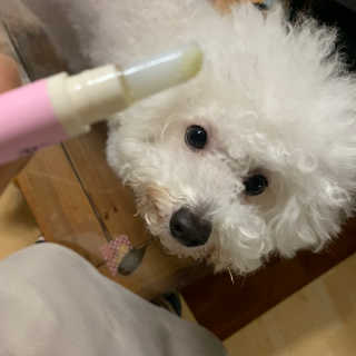 빙빙이님이 올린 리뷰 사진 1