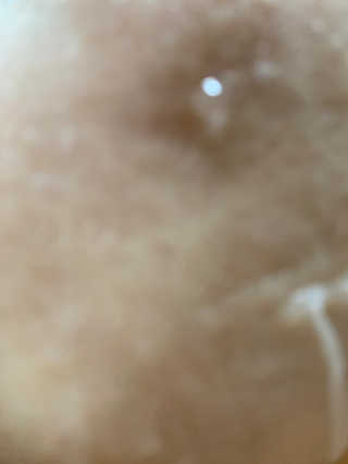 LeeJiSeung님이 올린 리뷰 사진 3