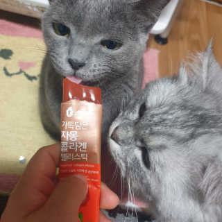 알몽님이 올린 리뷰 사진 1