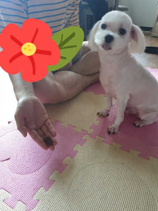 수우니님이 올린 리뷰 사진 3