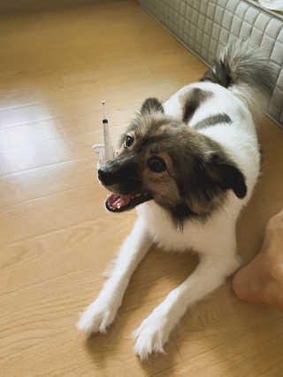 hing20님이 올린 리뷰 사진 4