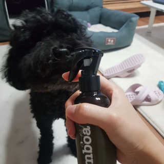 ❤꼬네우니🧡님이 올린 리뷰 사진 3