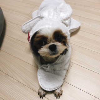 베베츄님이 올린 리뷰 사진 4
