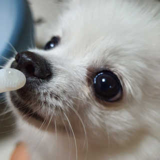 ssosso_yab님이 올린 리뷰 사진 4