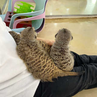 호잉님이 올린 리뷰 사진 3