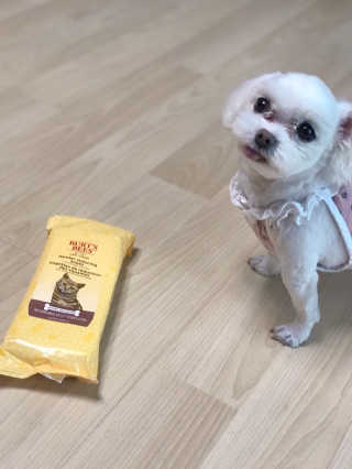 에그마요님이 올린 리뷰 사진 1