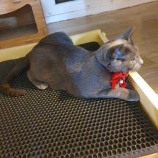 율집사님이 올린 리뷰 사진 2