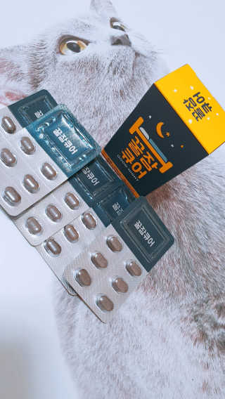 조은약초 꿀잠큐어 제주 감태추출물 감태정 600mg — 5점을 준 리뷰어가 2020년 5월 올린 사용 사진