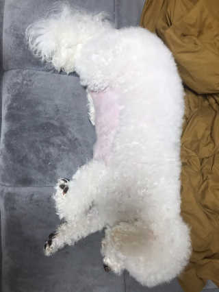갱스님이 올린 리뷰 사진 3