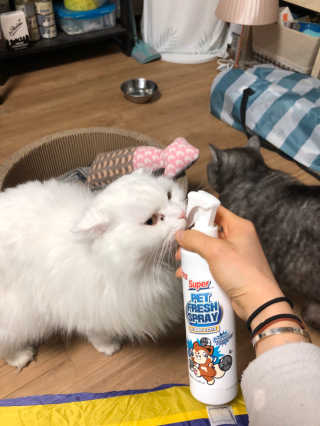 지연님이 올린 리뷰 사진 3