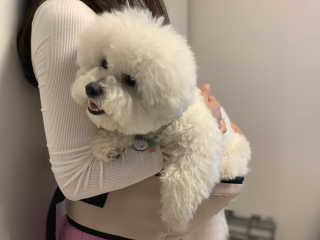 용용맹님이 올린 리뷰 사진 3