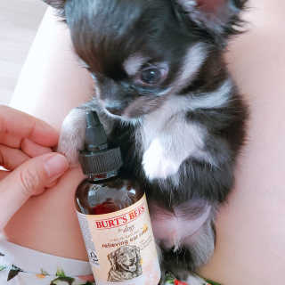 장성희님이 올린 리뷰 사진 1