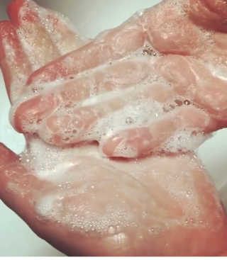 에이처드 유산균 탈모 샴푸 500ml — 4.5점을 준 리뷰어가 2020년 8월 올린 사용 사진