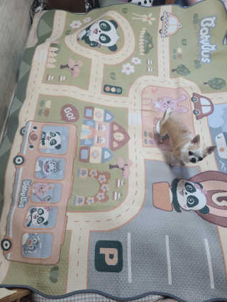 보리보리님이 올린 리뷰 사진 1