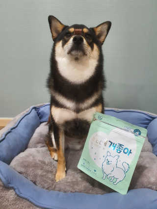 My Pet Care 천연단백질 눈건강에 개좋아 — 5점을 준 리뷰어가 2020년 11월 올린 사용 사진