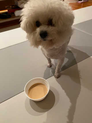보밍님이 올린 리뷰 사진 4