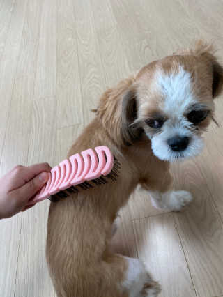 희공주님이 올린 리뷰 사진 3