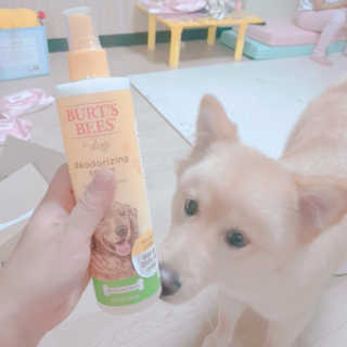 🎀딸 ♥️랑 🔆구🍭님이 올린 리뷰 사진 2