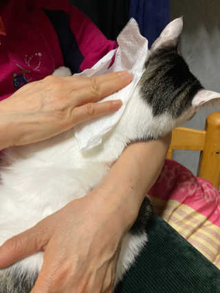 mangsoo님이 올린 리뷰 사진 3