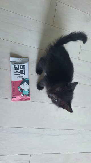 보리모링님이 올린 리뷰 사진 2