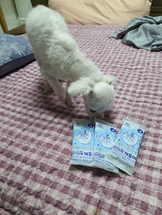 쮸동비님이 올린 리뷰 사진 2