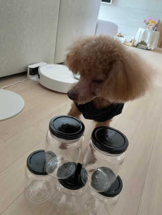 리빙패밀리 무독성 소재 트라이탄 양념통 밀폐양념 조미료통 — 3점을 준 리뷰어가 2020년 4월 올린 사용 사진