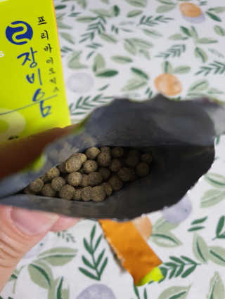 팔팔맘😄님이 올린 리뷰 사진 3