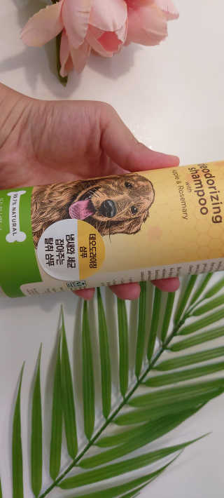 리뷰언니님이 올린 리뷰 사진 2