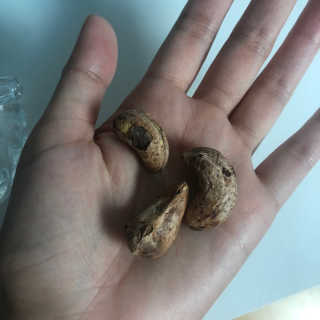 라니님이 올린 리뷰 사진 4