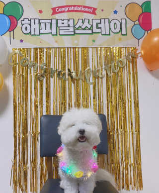 SEOHYUNKIM님이 올린 리뷰 사진 1