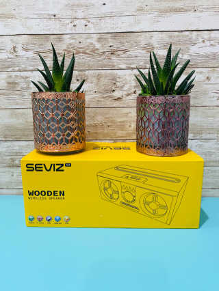 SEVIZ RETRO20W 레트로 블루투스 스피커 — 5점을 준 리뷰어가 2020년 6월 올린 사용 사진