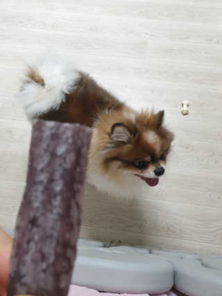 태훈맘님이 올린 리뷰 사진 3