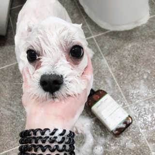 김나연님이 올린 리뷰 사진 3