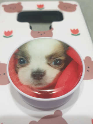 미실님이 올린 리뷰 사진 2