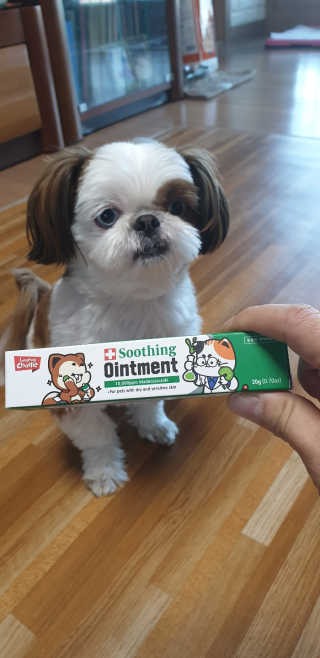 보라빗방울님이 올린 리뷰 사진 1
