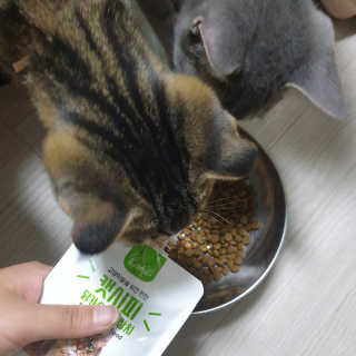 이째님이 올린 리뷰 사진 4