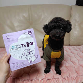 My Pet Care 천연단백질 치아건강에 개좋아 — 5점을 준 리뷰어가 2020년 12월 올린 사용 사진