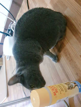 뚜갱님이 올린 리뷰 사진 3