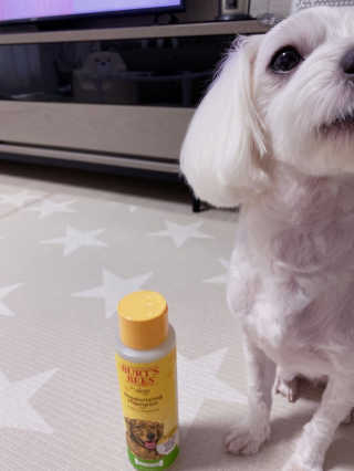 미달이님이 올린 리뷰 사진 3