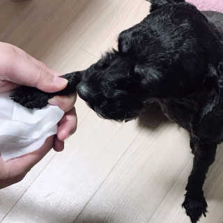 우와한언니님이 올린 리뷰 사진 2