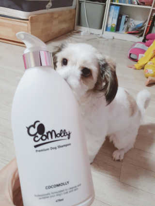 예민한 피부를 위한 코코몰리 All in one 자연유래 샴푸 — 5점을 준 리뷰어가 2020년 11월 올린 사용 사진
