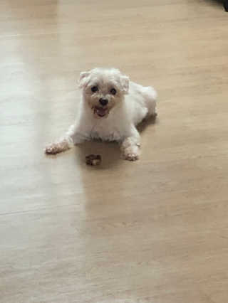 잇츠님이 올린 리뷰 사진 1