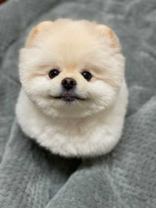 홍제이님이 올린 리뷰 사진 1