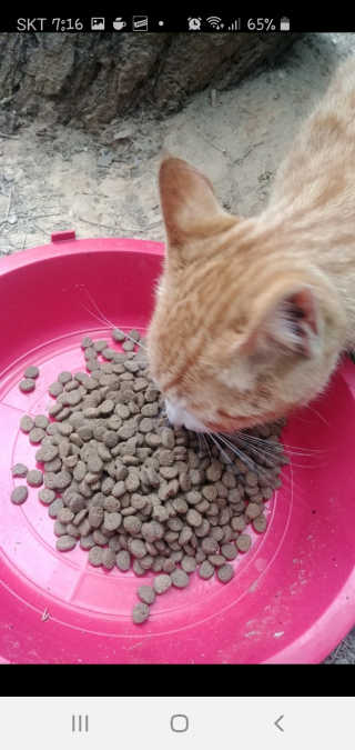 솜희님이 올린 리뷰 사진 3