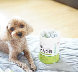 윤디캔디님이 올린 리뷰 사진 1