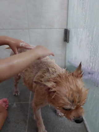 연떠님이 올린 리뷰 사진 2