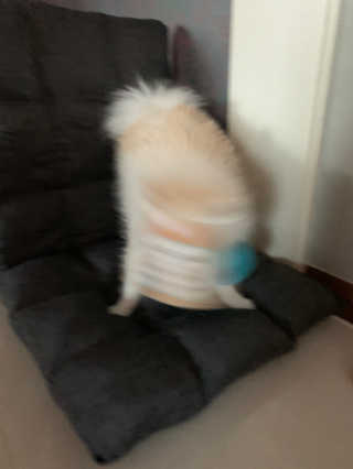 aerin님이 올린 리뷰 사진 2