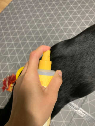 이지닝님이 올린 리뷰 사진 3